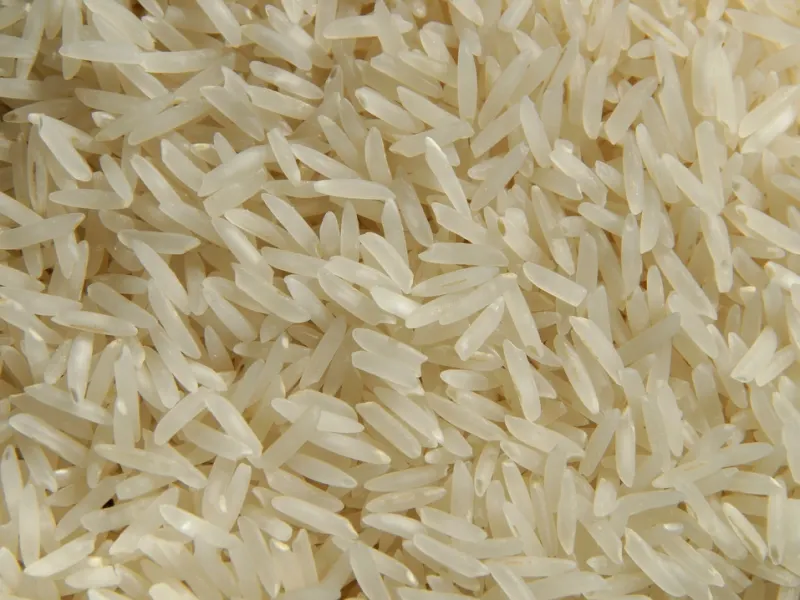 Granos de arroz